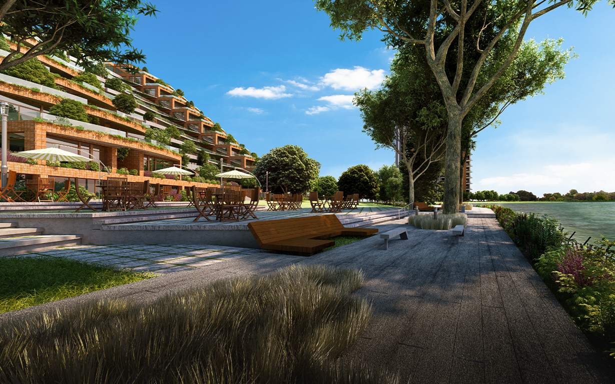  pursuit of a radical rhapsody phase 2 Landscape Garden and Tree Planting