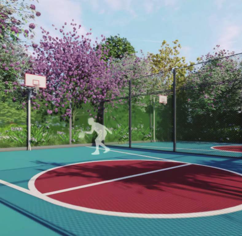  the nature Basketball Court