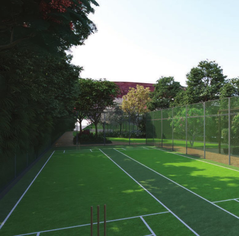  the nature Cricket arena