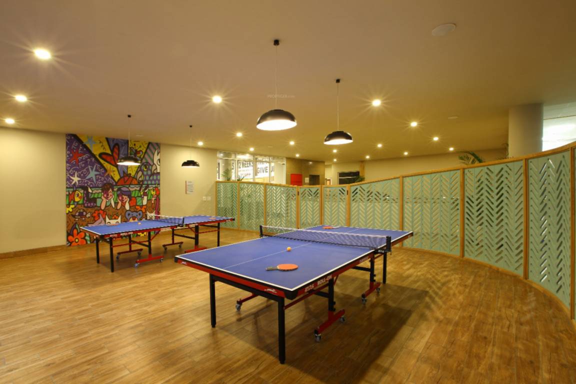  ashiana anmol Table Tennis