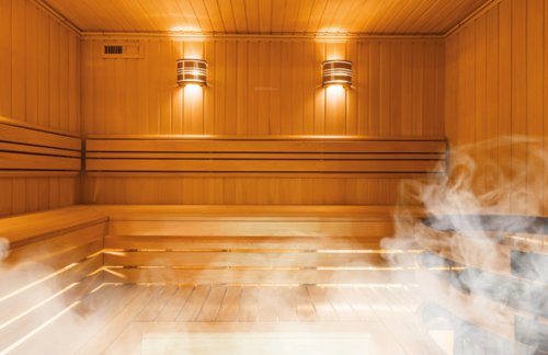  maximus-residency-phase-i Steam Room