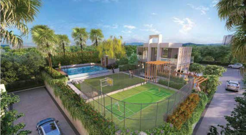  serenora wing a Basketball Court