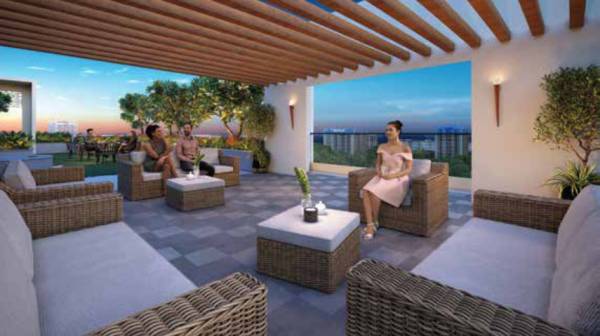  serenora-wing-a Others