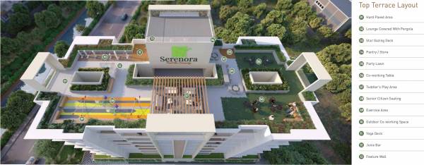  serenora-wing-a Others