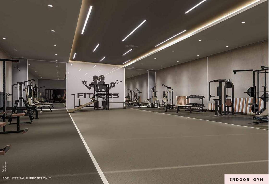  satori mahalunge Gymnasium