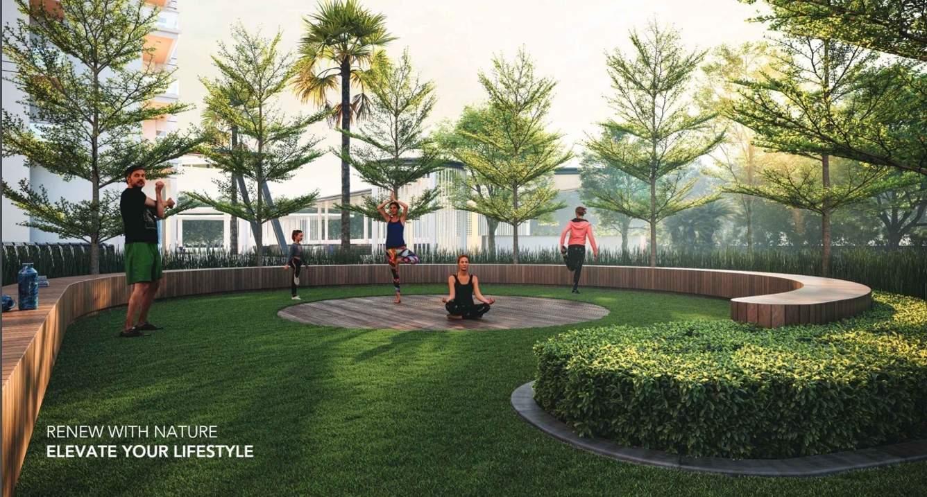  ambrosia Yoga/ Meditation Area