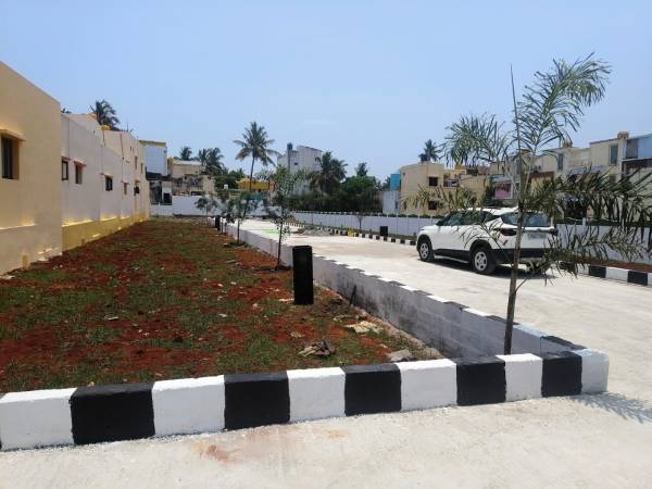  pride Landscape Garden and Tree Planting