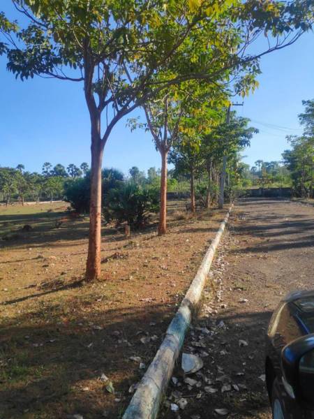 maple-meadows Internal Roads & Footpaths