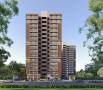 Shree Associates Ahmedabad Kalash