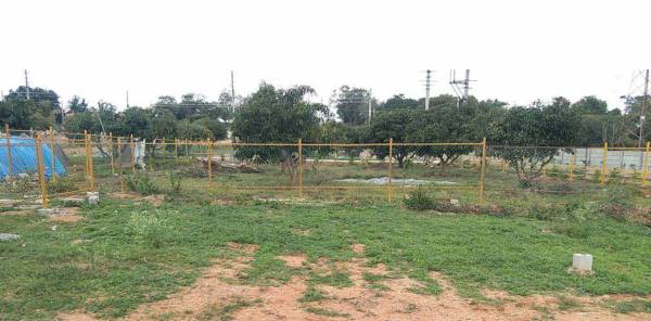  properties-bethel Elevation