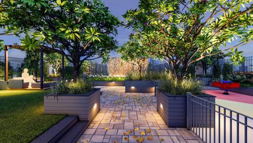  jewel Landscape Garden and Tree Planting