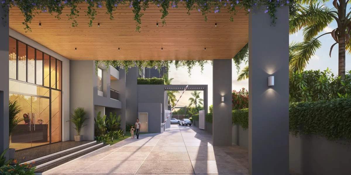  sahyadri plumeria Others