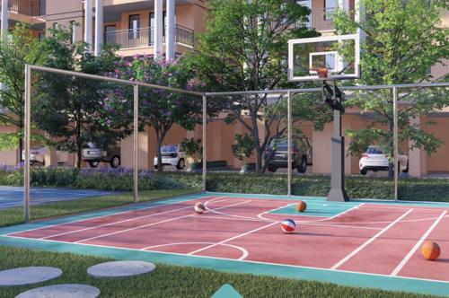 Basketball Court the-legend-3 Basketball Court