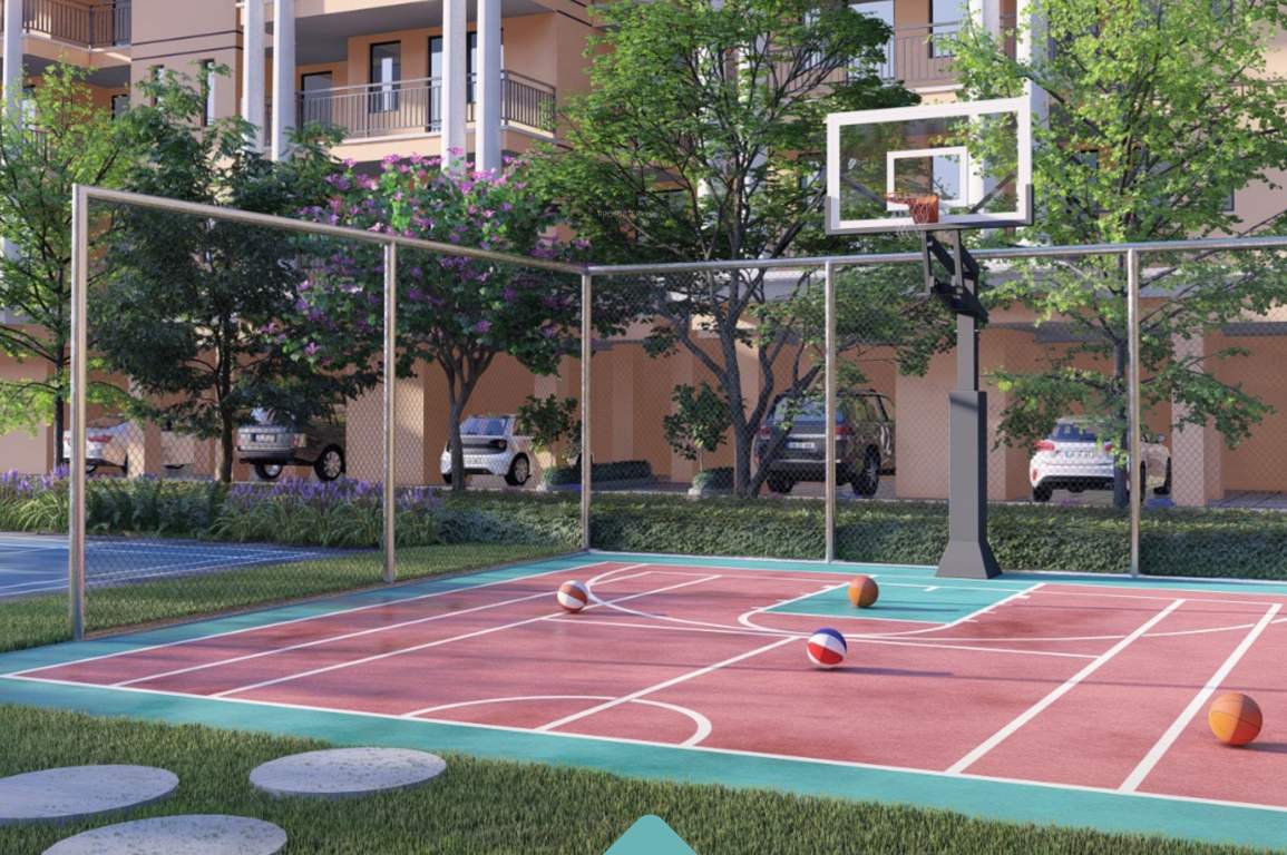  the legend 3 Basketball Court