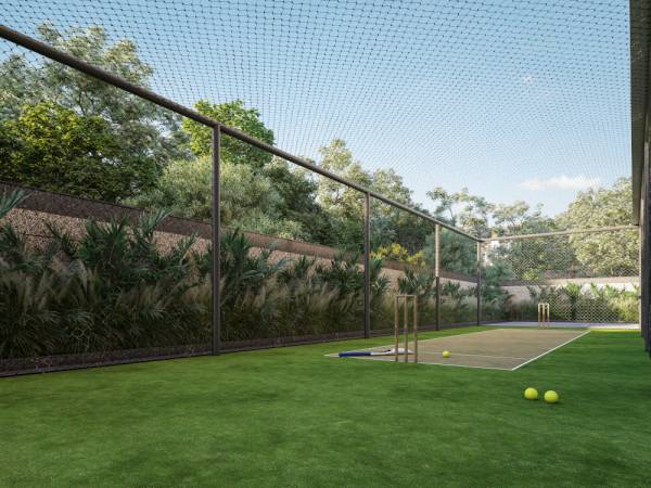  om-elegance Cricket Pitch