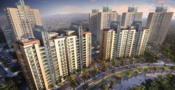  belvedere-court Elevation