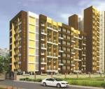  arcade-c-wing Elevation