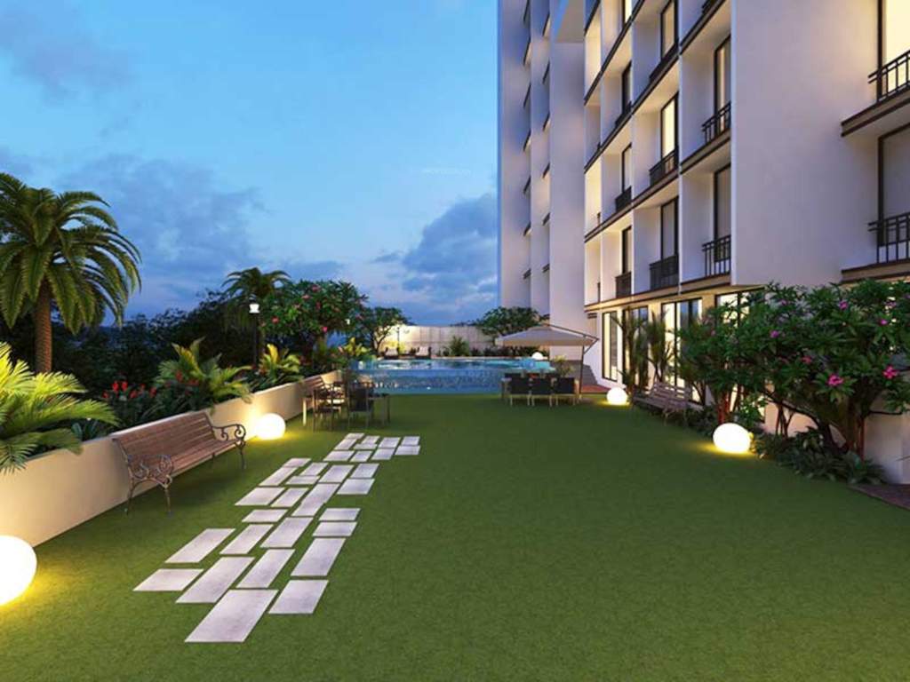  geetanjali daffodils Landscape Garden and Tree Planting