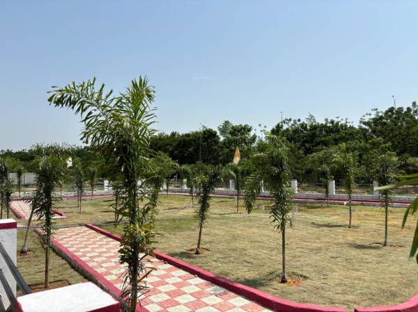  nature-county Others