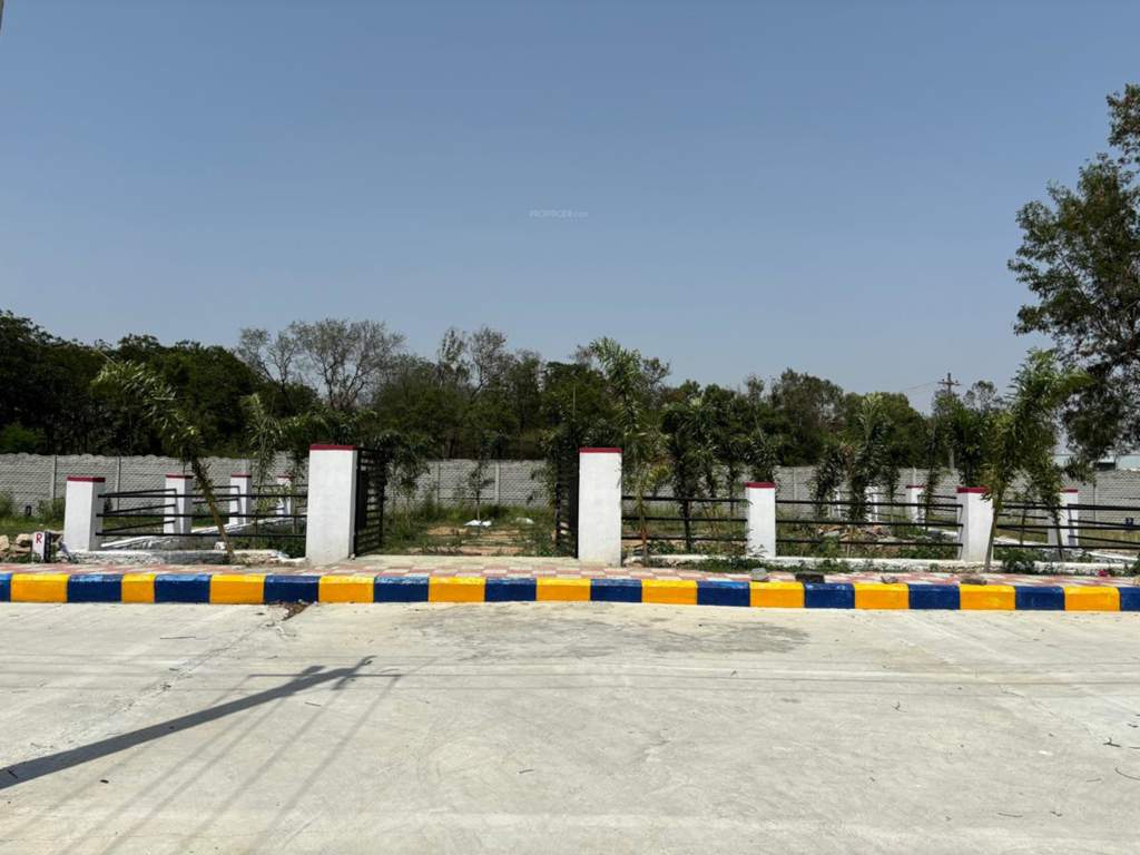  nature county Others