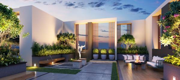  exotica Senior Citizen Sitout