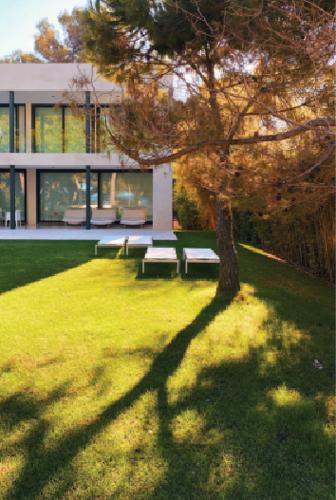  imperial Landscape Garden and Tree Planting