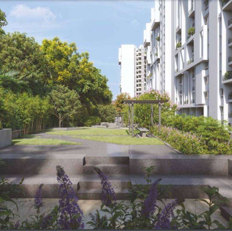  saroha phase 1 Amphitheater