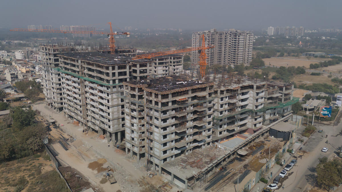 Kavisha The Portrait