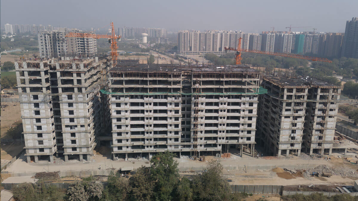 Kavisha The Portrait