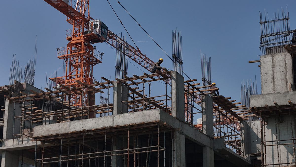 Kavisha The Portrait