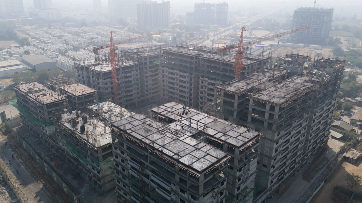 Kavisha The Portrait