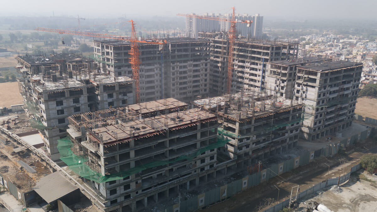 Kavisha The Portrait