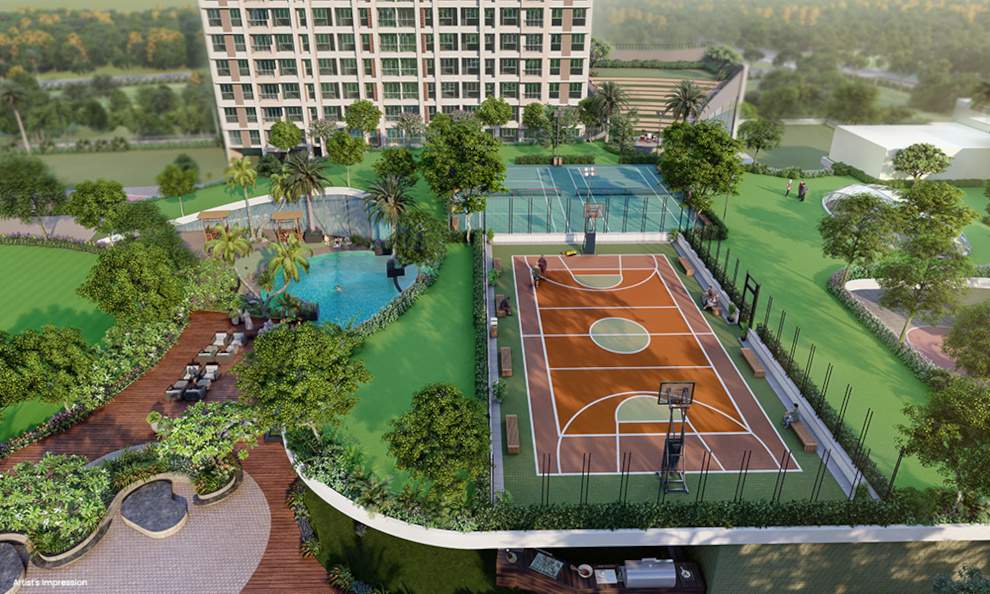  enchanted Basketball Court