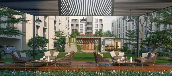  green Senior Citizen Sitout