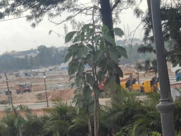  kings-county Construction Status Oct-24