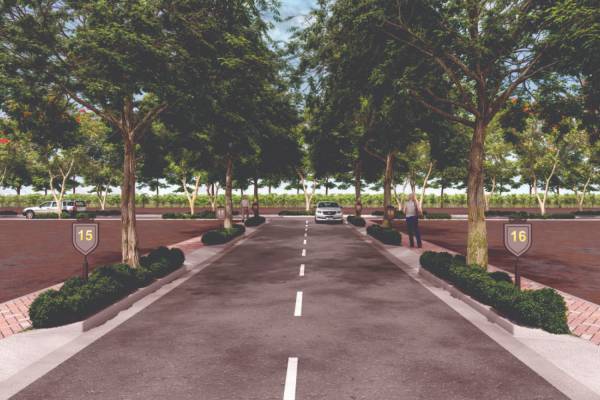  kings-county Internal Roads & Footpaths