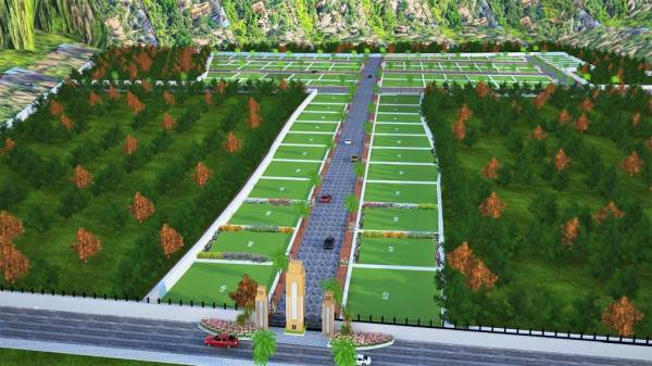  mountain-view-farm-house Plot