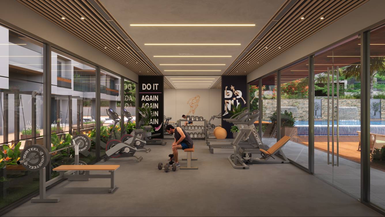  fortune prime Gymnasium