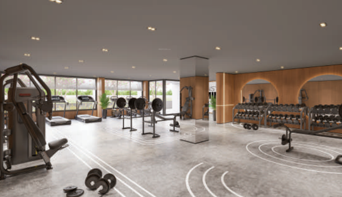  splendora 2 Gymnasium