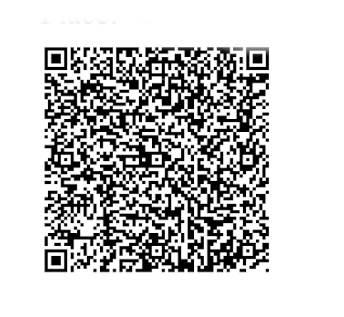 QR Image