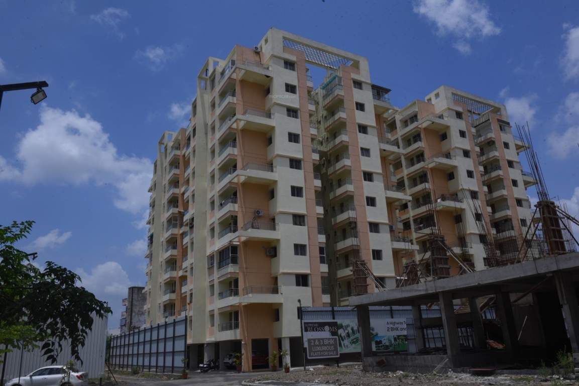  supreme blossoms Elevation