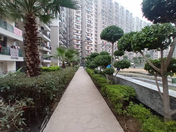  north-avenue Jogging Track