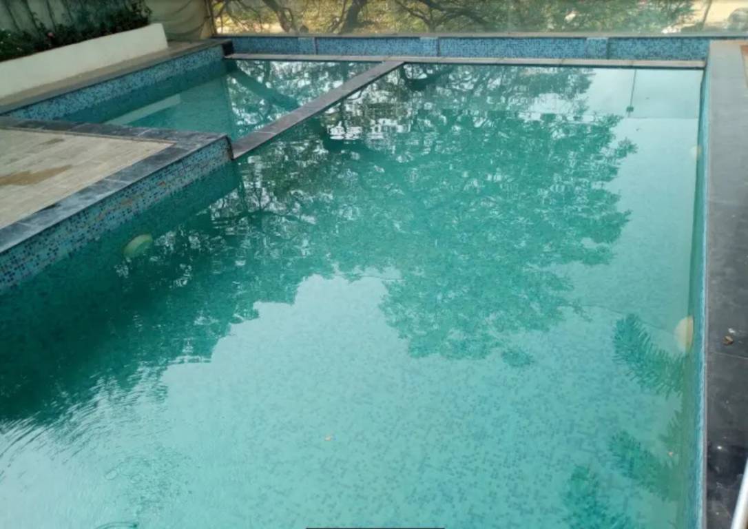  north avenue Swimming Pool