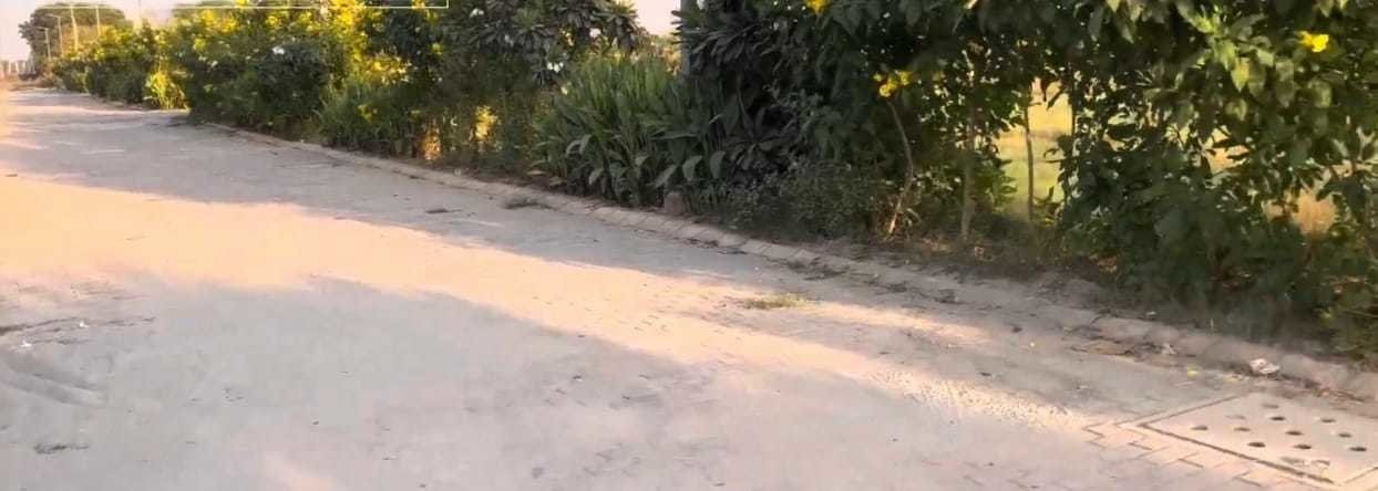 adore smart city Plot