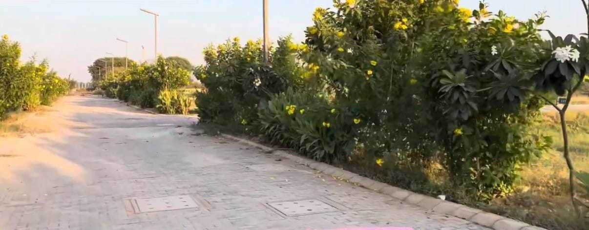 adore smart city Plot