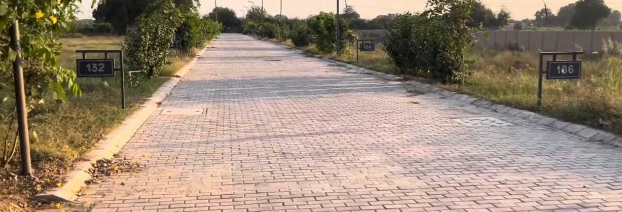 adore smart city Plot