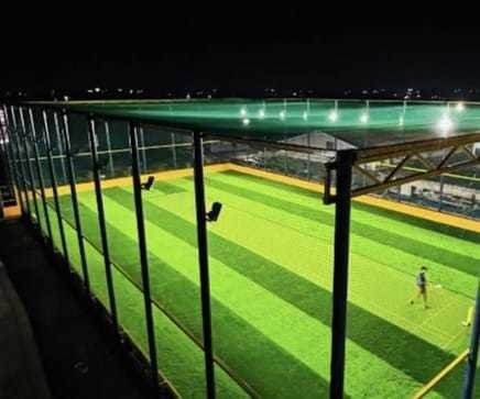 exotica woods Cricket Pitch