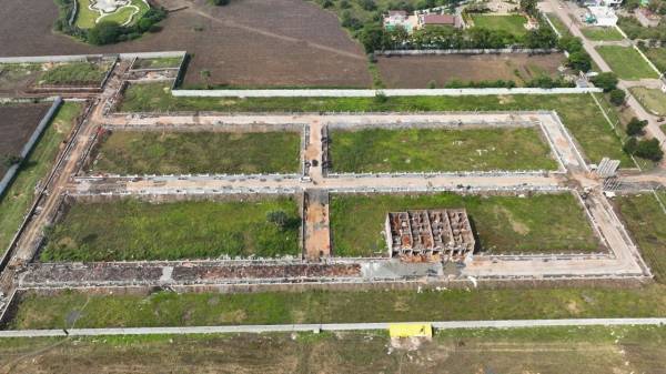 Plot exotica-woods Plot