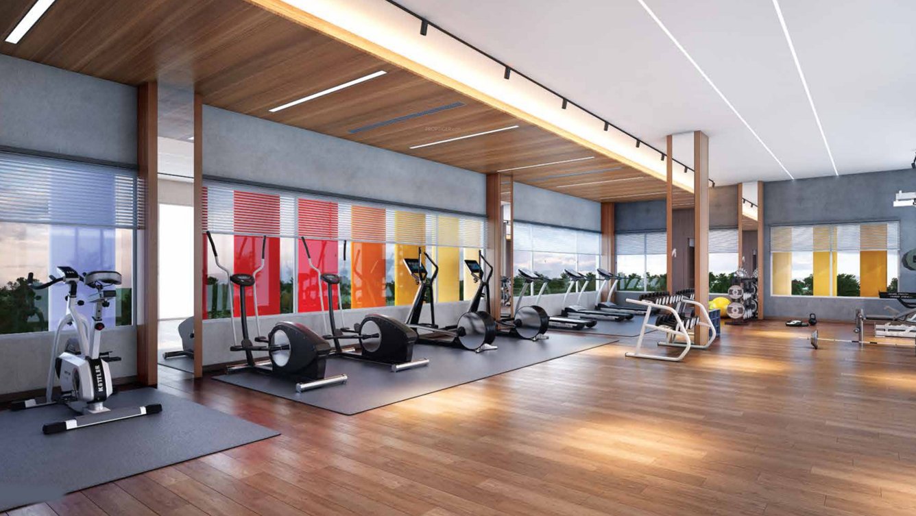  ns alti level i Gymnasium