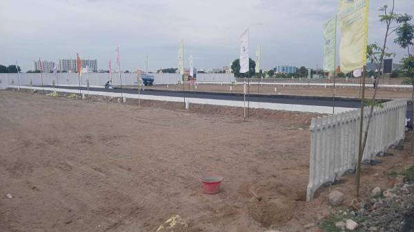  the-madras-avenue Elevation